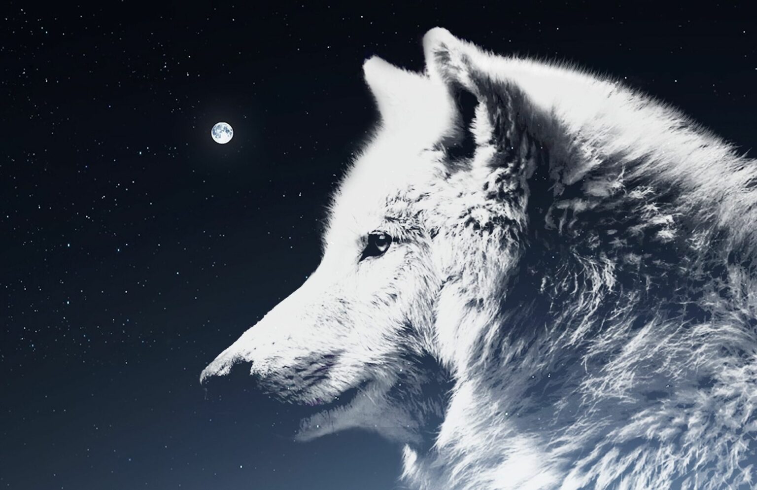 The Amarok Wolf – Inuit Mythology | Mythology Planet