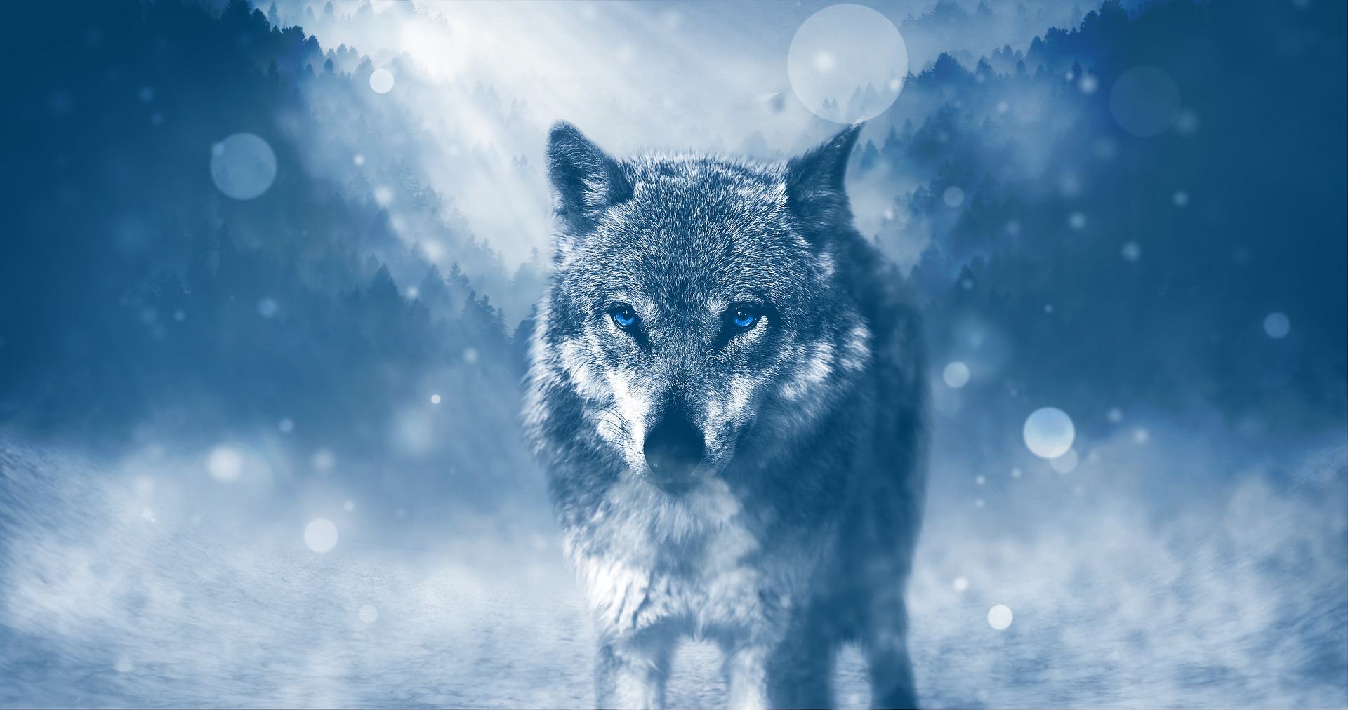 The Amarok Wolf – Inuit Mythology | Mythology Planet