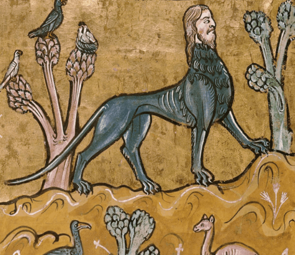 The manticore as seen in the Rochester Bestiary (c. 1230-1240)