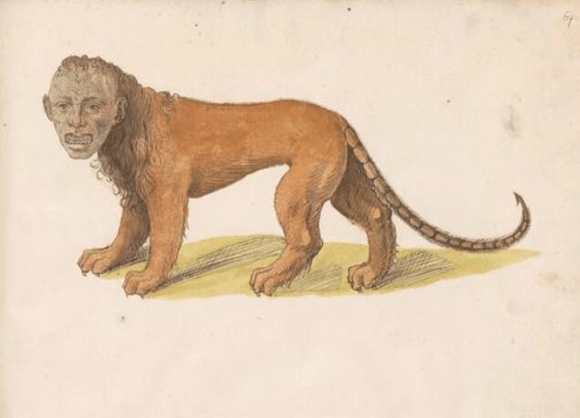 What is a Manticore - Persian Mythology