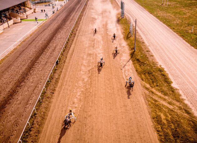 Hippodromes were arenas in ancient Greece for horse and chariot racing