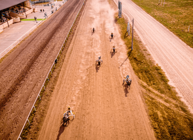 Hippodromes were arenas in ancient Greece for horse and chariot racing