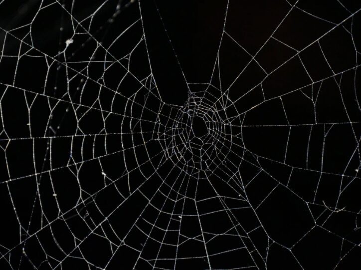 Jorogumo entangles its victims with intricate webs